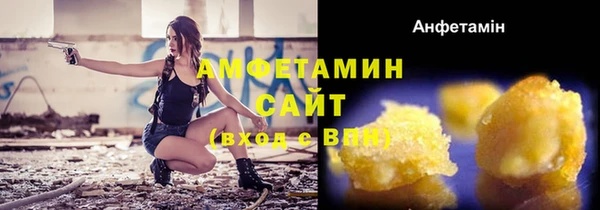 индика Волоколамск