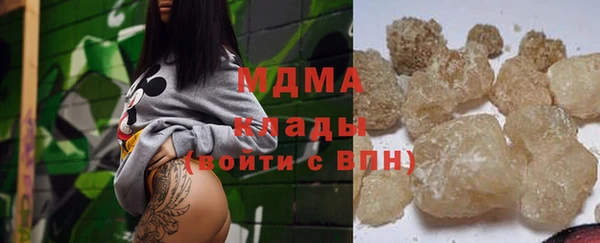 индика Волоколамск