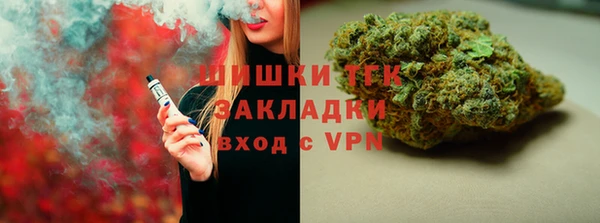 спиды Вяземский