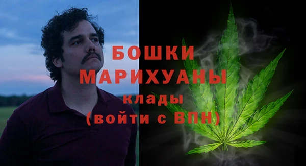 индика Волоколамск