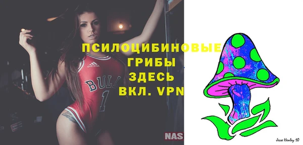 спиды Вяземский