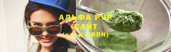 индика Волоколамск