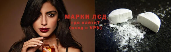 сатива Верея