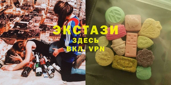 спиды Вяземский