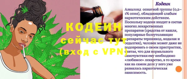 индика Волоколамск