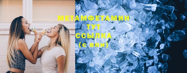 индика Волоколамск