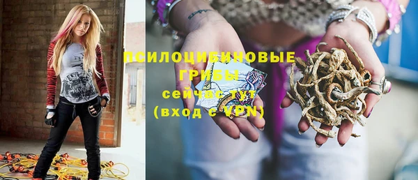 индика Волоколамск