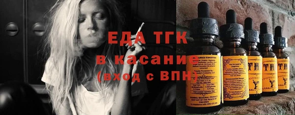 индика Волоколамск